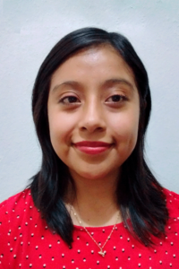Psicoterapia Psicoanalítica Infantil